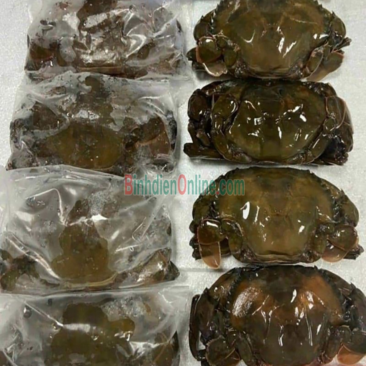 Cua lột đông lạnh giá tốt 8-10 con/kg Xuất xứ Cà Mau