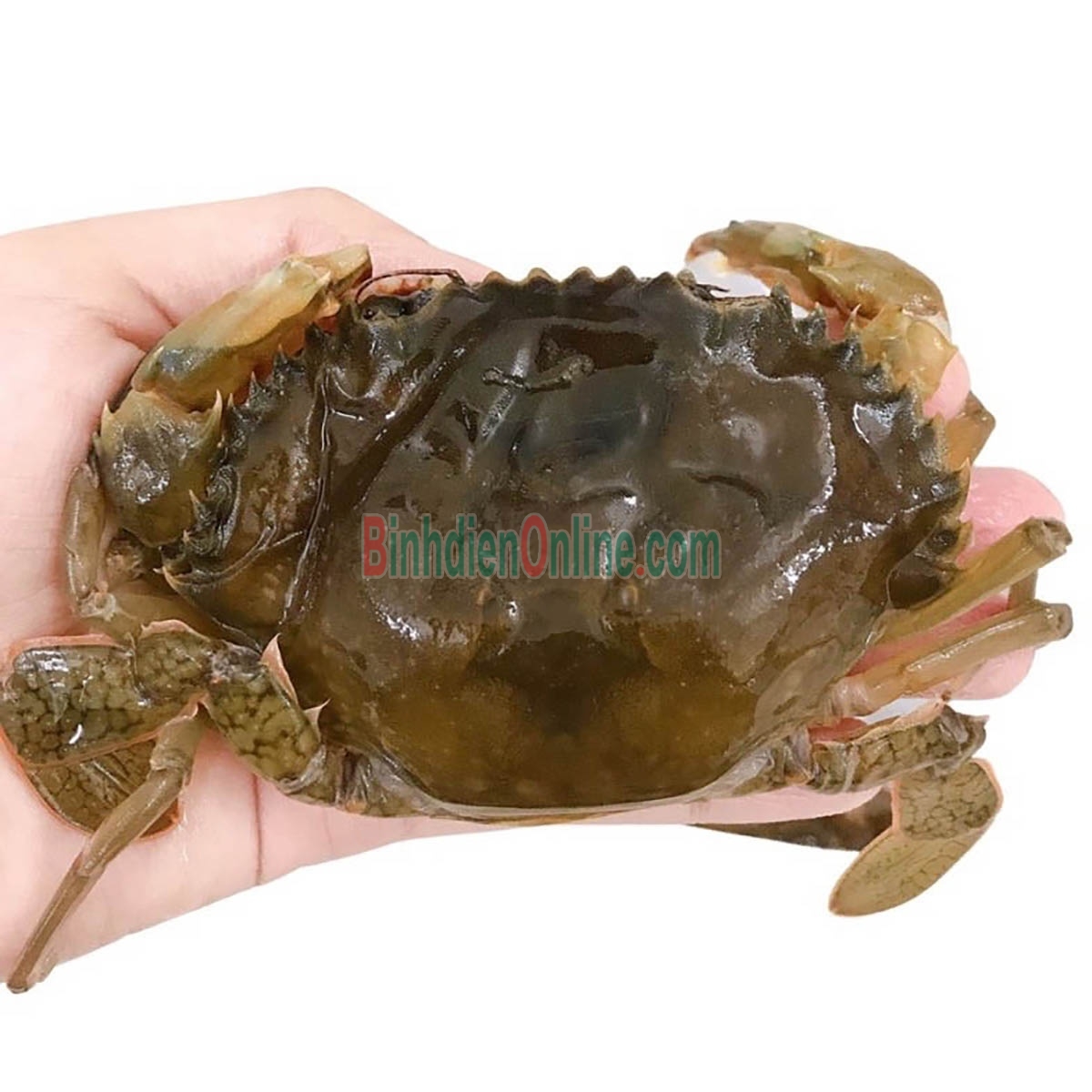 Cua lột đông lạnh giá tốt 8-10 con/kg Xuất xứ Kiên Giang