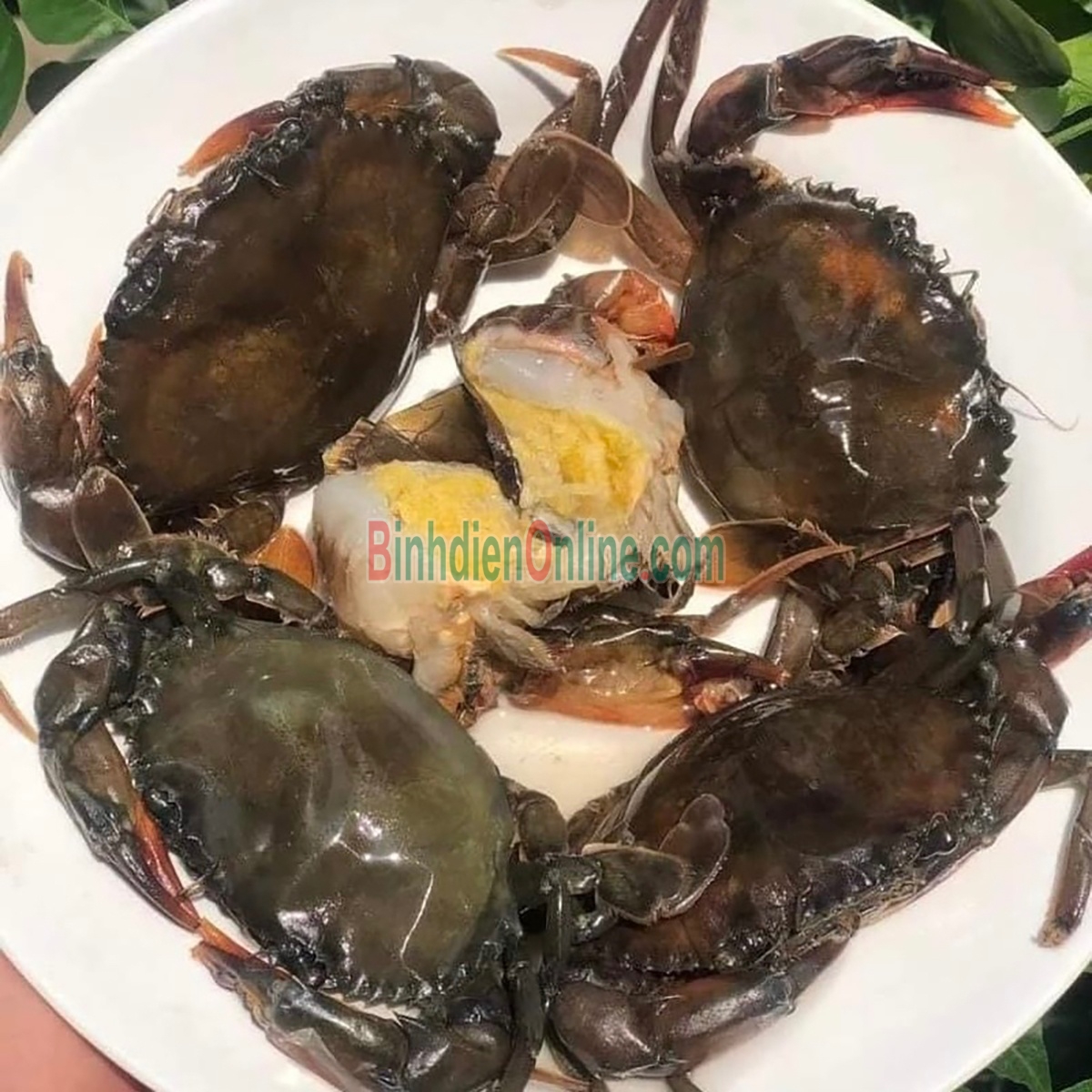 Cua lột đông lạnh giá tốt 7-8 con/kg Xuất xứ Kiên Giang