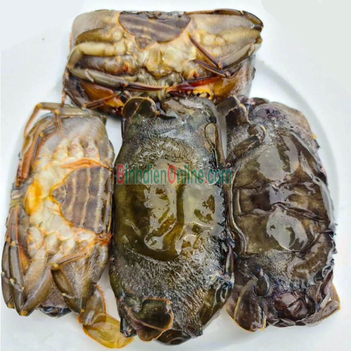 Cua lột tươi sống giá tốt 8-10 con/kg Xuất xứ Cà Mau