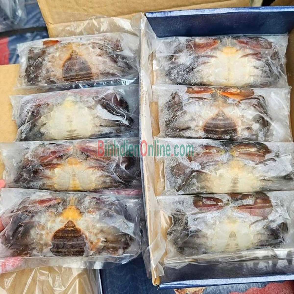 Cua lột đông lạnh siêu ngon 8-10 con/kg Xuất xứ Sóc Trăng