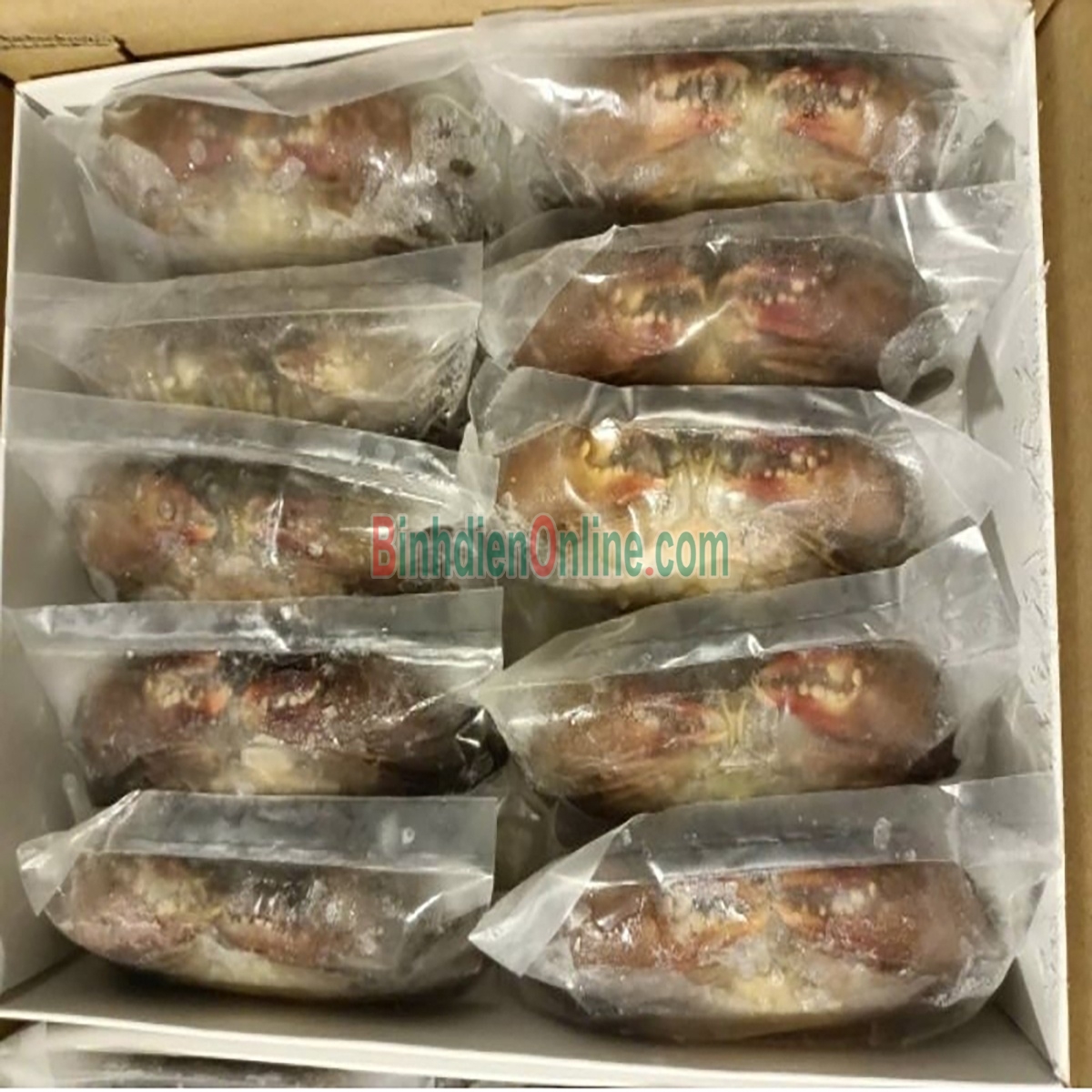 Cua lột tươi sống loại 1 7-8 con/kg Xuất xứ Bạc Liêu
