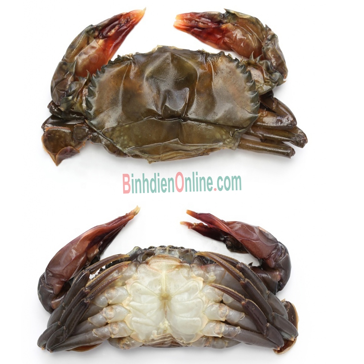 Cua lột đông lạnh giá tốt 10-12 con/kg Xuất xứ Kiên Giang