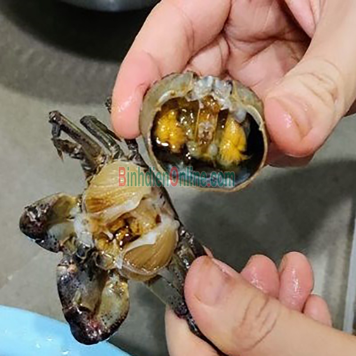 Cua đồng xay chất lượng Gói 500gr Xuất xứ Đồng Tháp