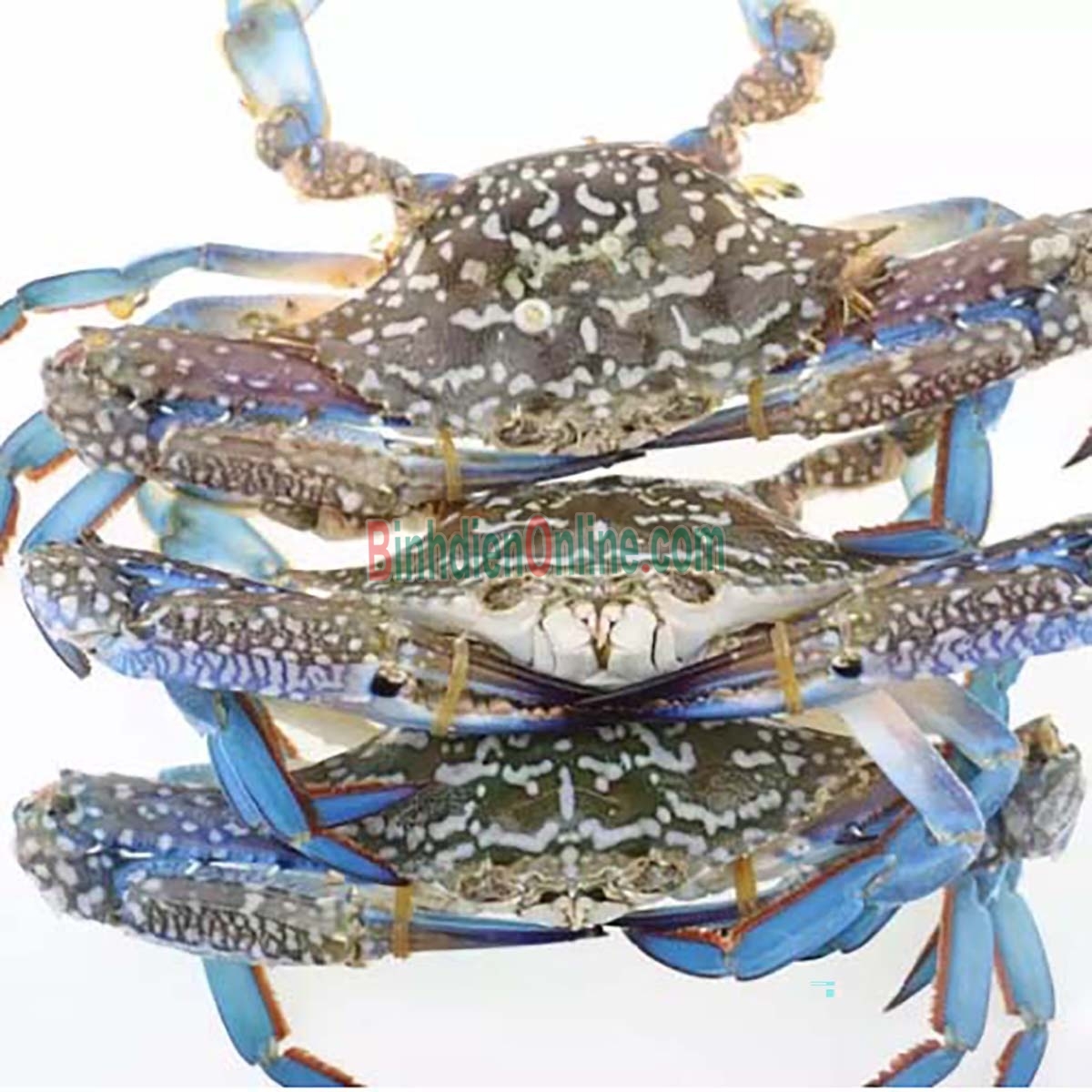 Ghẹ xanh đông lạnh giá tốt 3-4 con/kg Xuất xứ Kiên Giang