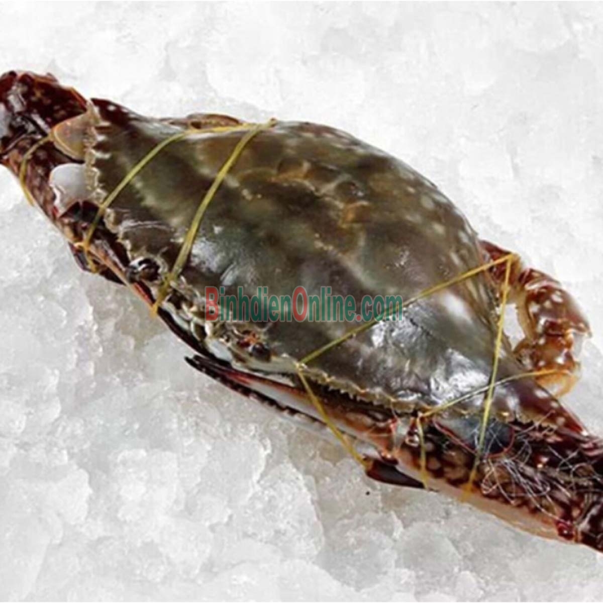 Ghẹ xanh đông lạnh ngon chắc thịt 4-5 con/kg Xuất xứ Kiên Giang