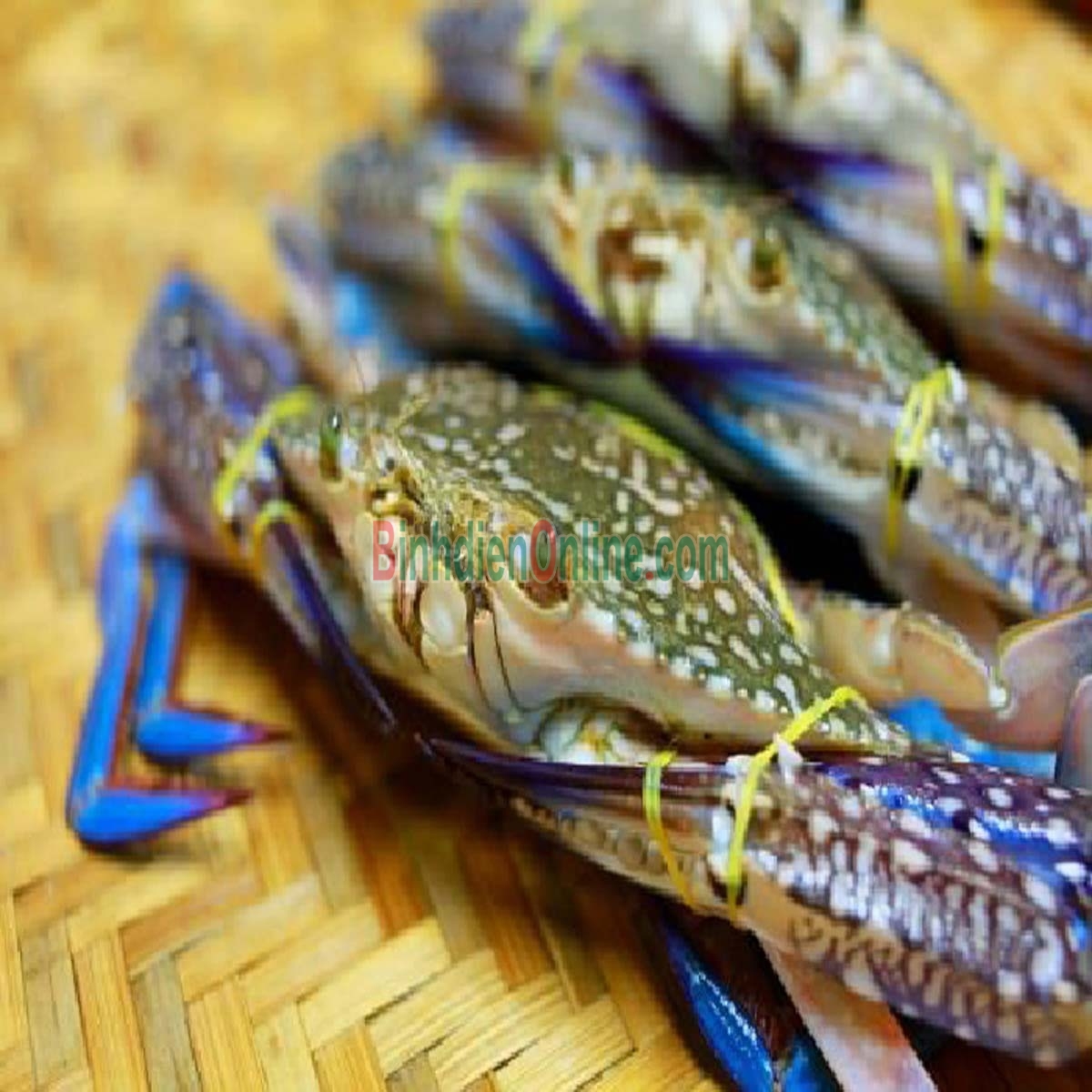Ghẹ xanh sống tươi ngon 4-5 con/kg Xuất xứ Bình Thuận