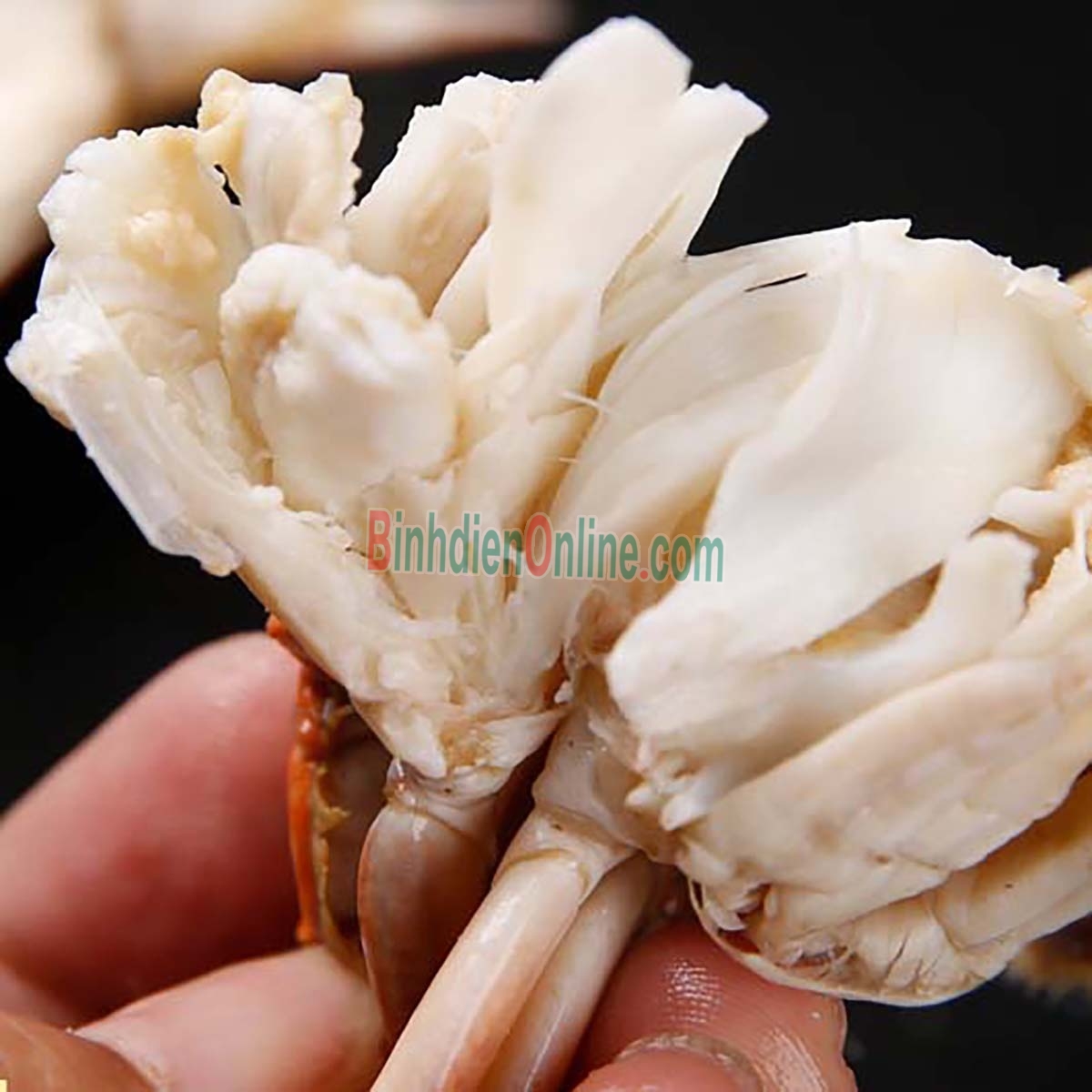 Ghẹ đỏ tươi sống loại 1 5-6 con/kg Xuất xứ Kiên Giang