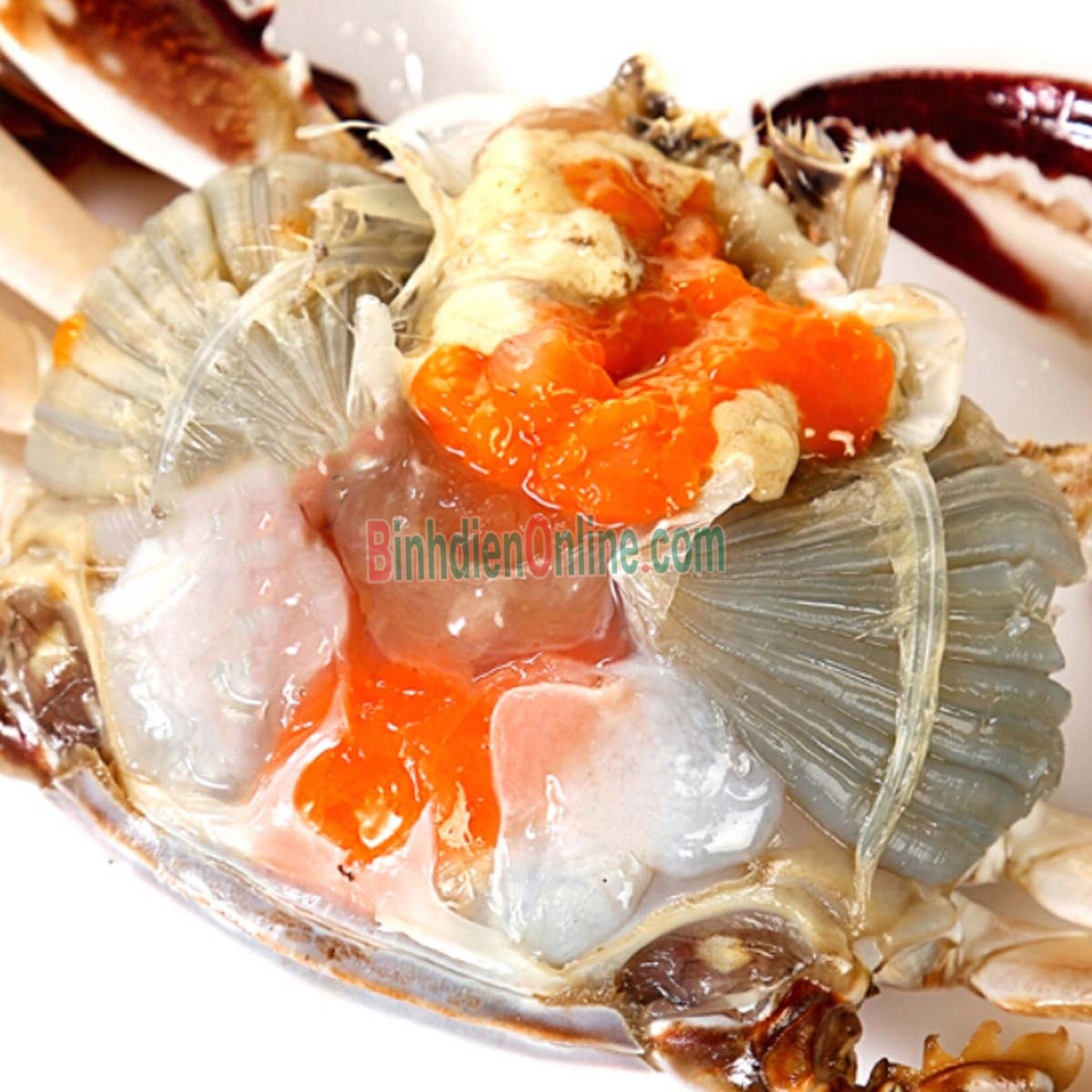 Ghẹ đỏ tươi sống chắc thịt, loại 1 5-6 con/kg Xuất xứ Bình Thuận