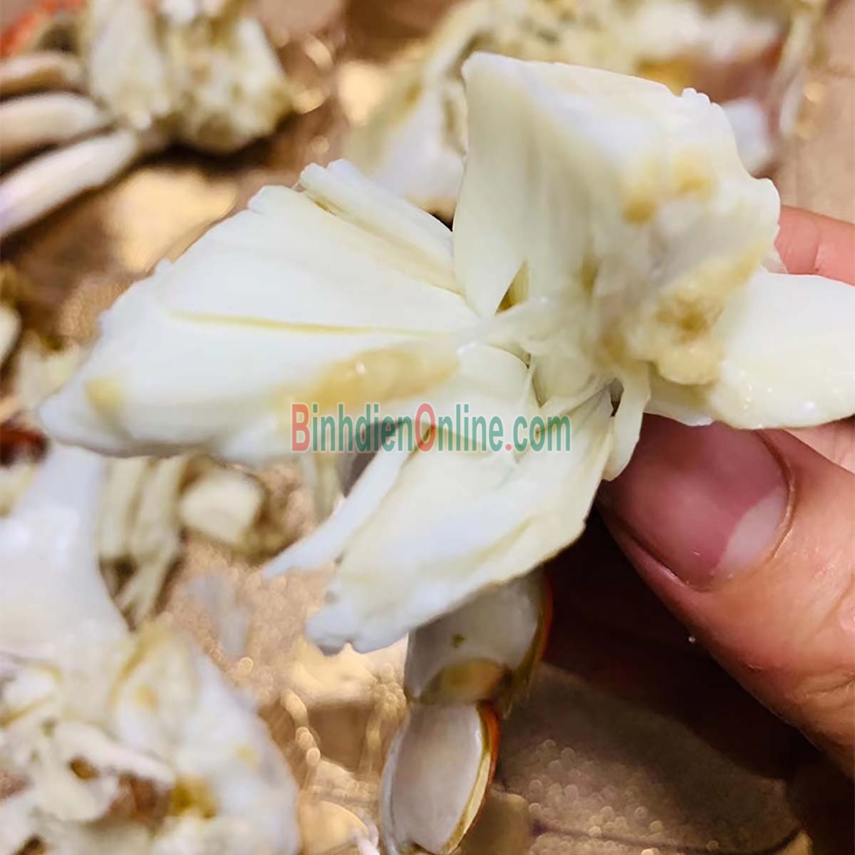 Ghẹ đỏ đông lạnh giá tốt 4-5 con/kg Xuất xứ Khánh Hòa