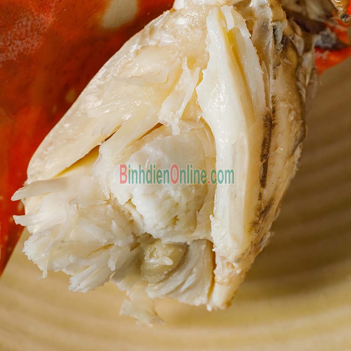 Ghẹ đỏ sống giá tốt 4-5 con/kg Xuất xứ Vũng Tàu