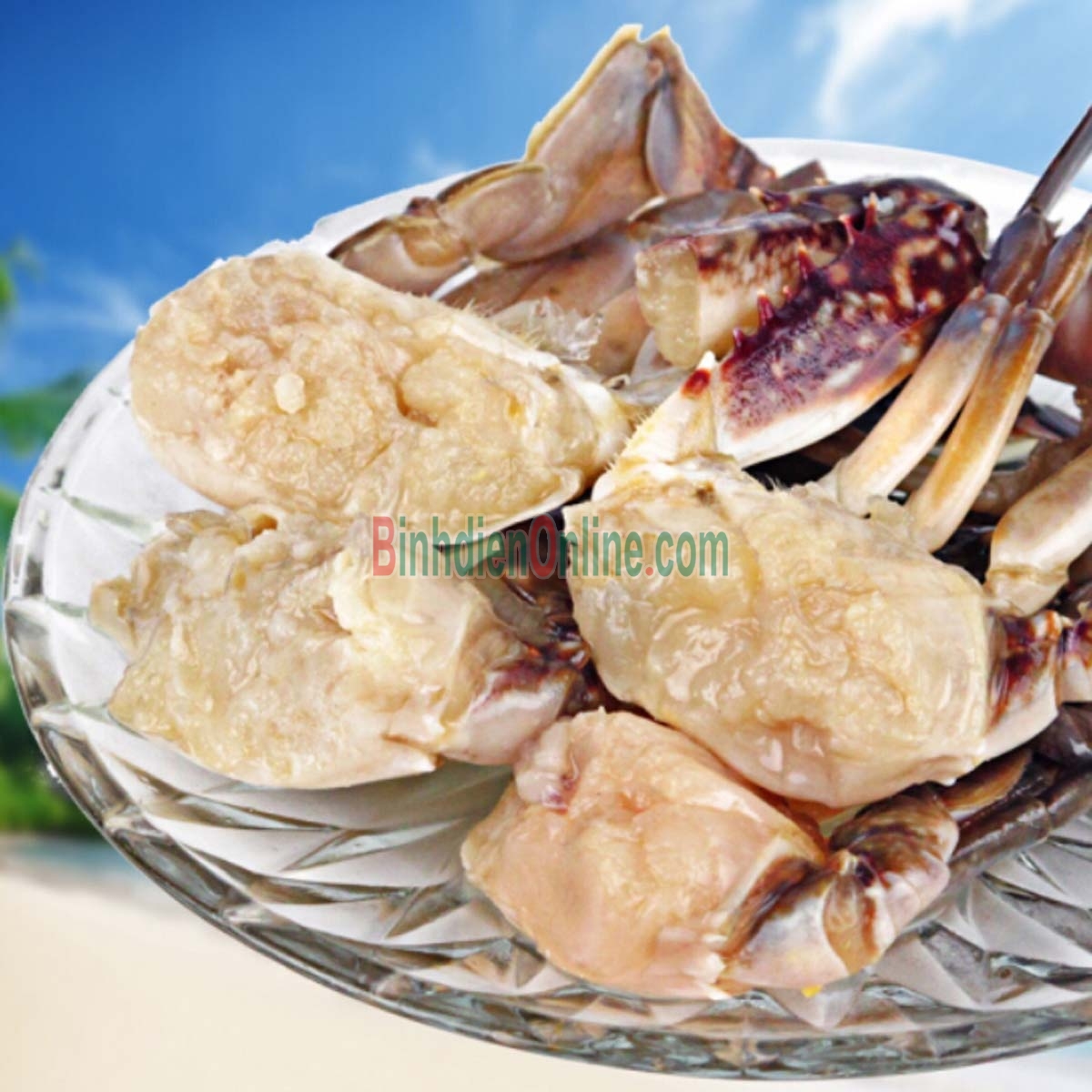 Ghẹ đỏ sống vừa đánh bắt 6-7 con/kg Xuất xứ Vũng Tàu