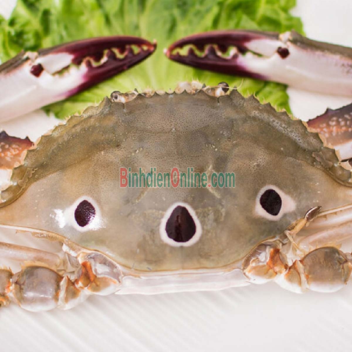 Ghẹ ba chấm đông lạnh ngon chắc thịt 4-5 con/kg Xuất xứ Bình Thuận