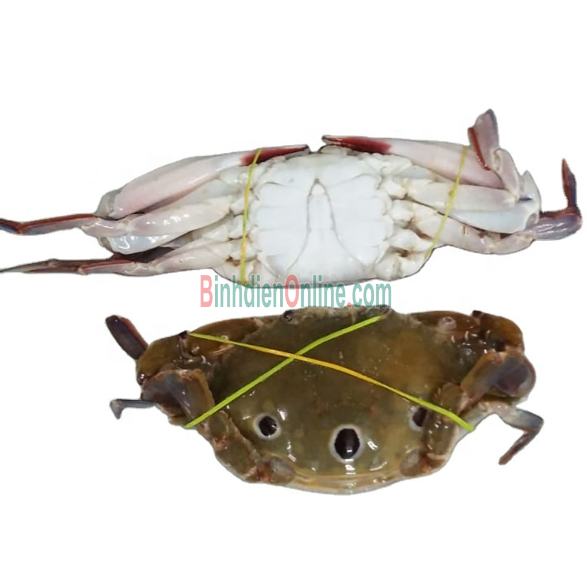 Ghẹ ba chấm đông lạnh, đánh bắt tự nhiên 3-4 con/kg Xuất xứ Kiên Giang