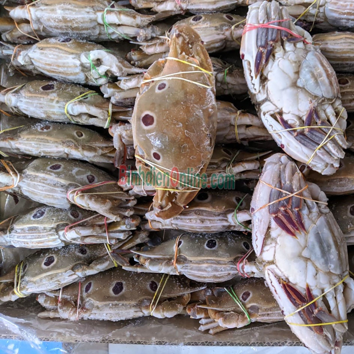Ghẹ ba chấm đông lạnh an toàn, loại 1 5-6 con/kg Xuất xứ Bình Thuận