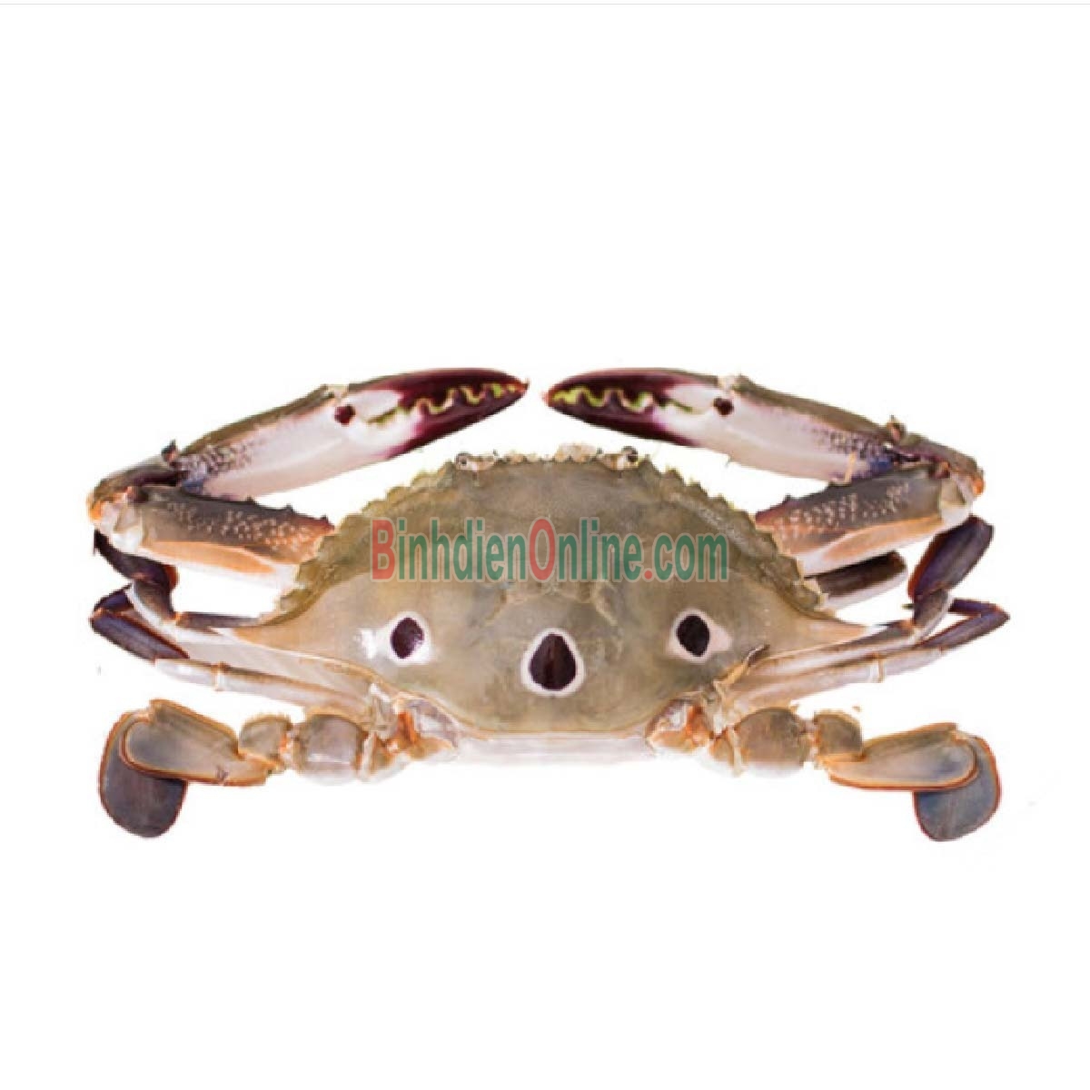 Ghẹ ba chấm tươi sống loại 1 giá tốt 4-5 con/kg Xuất xứ Kiên Giang