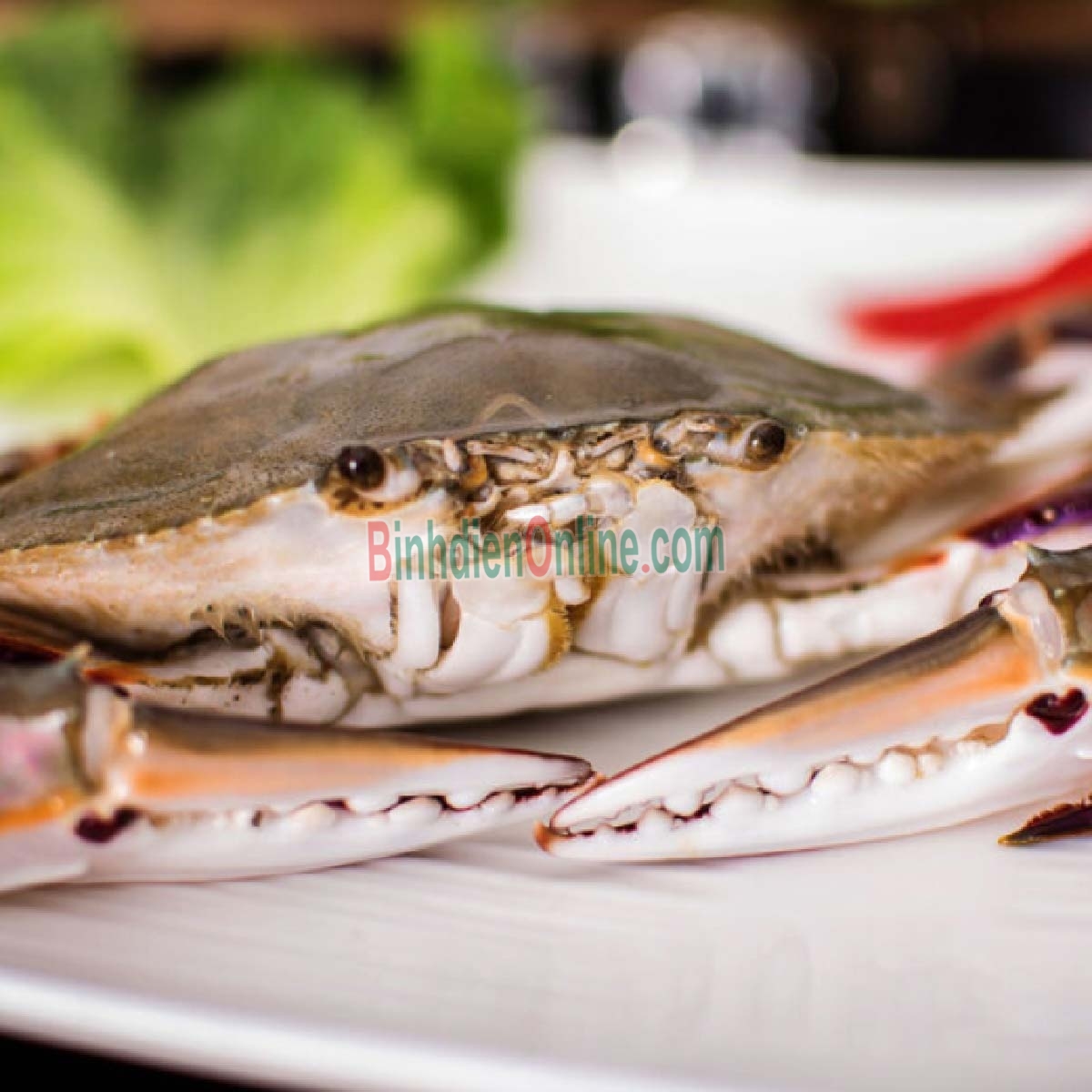 Ghẹ ba chấm sống ngon chắc thịt 6-7 con/kg Xuất xứ Bình Thuận