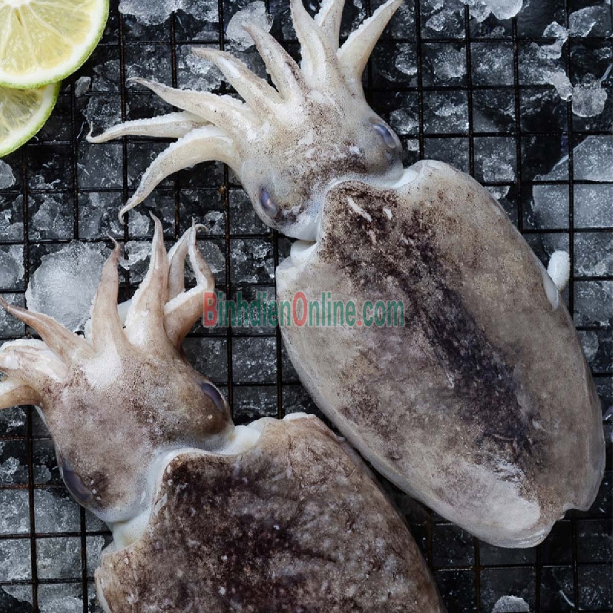 Mực nang đông lạnh còn da đặc biệt 2-3 con/kg Xuất xứ Kiên Giang