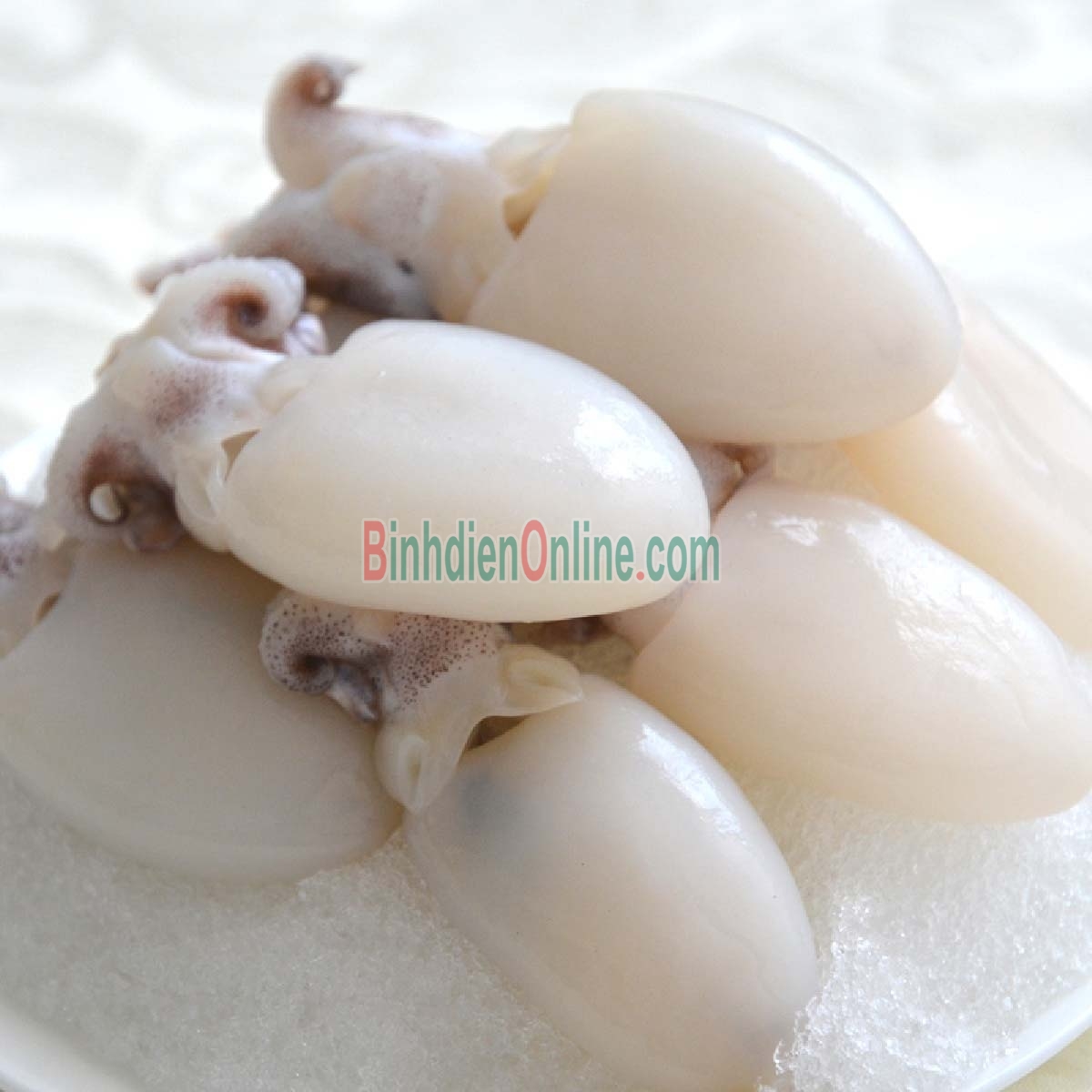 Mực nang tươi rói, giá tốt hôm nay 10-15 con/kg Xuất xứ Bình Thuận