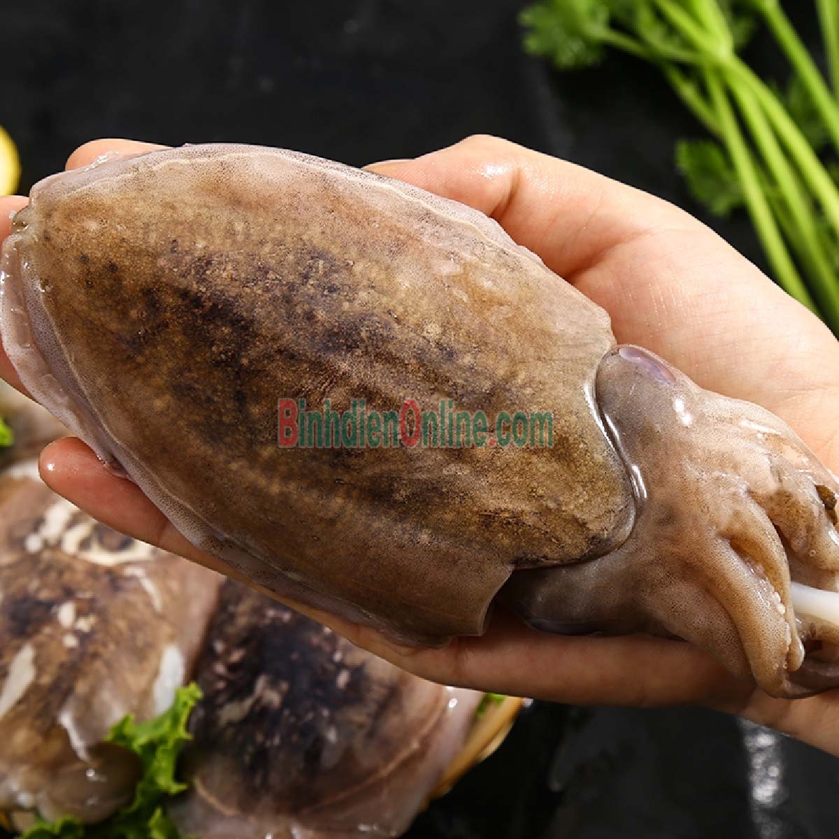 Mực nang đông lạnh còn da đặc biệt 0,8-1 kg/con Xuất xứ Cà Mau