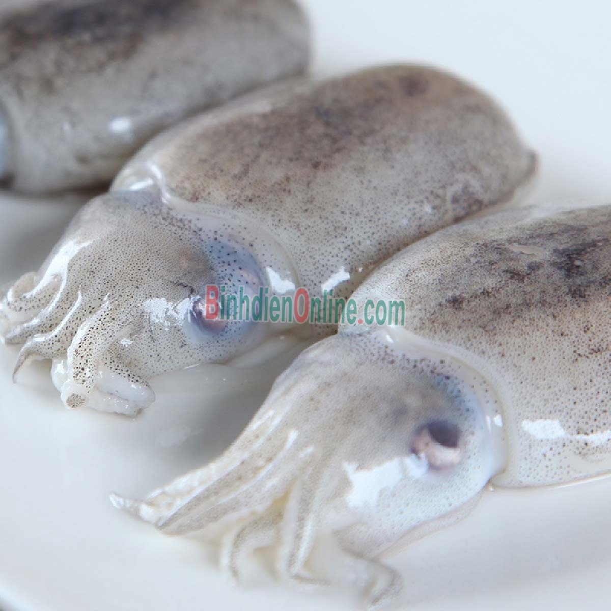 Mực nang đông lạnh chưa lột da loại 1 4-5 con/kg Xuất xứ Cà Mau