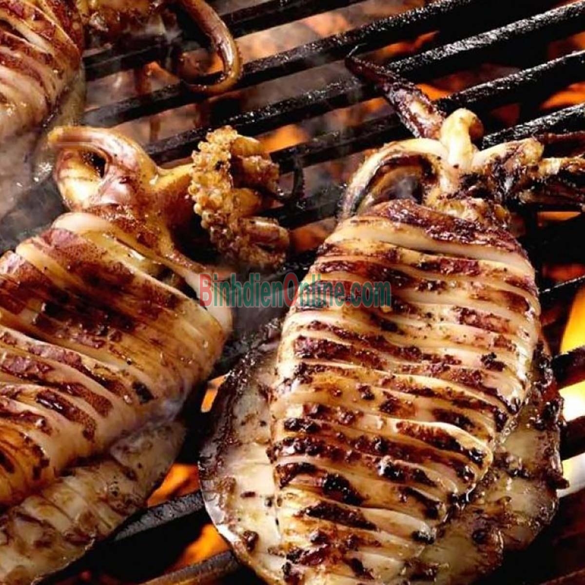 Mực nang đông lạnh còn da đặc biệt 0,6-0,8 kg/con Xuất xứ Bình Thuận