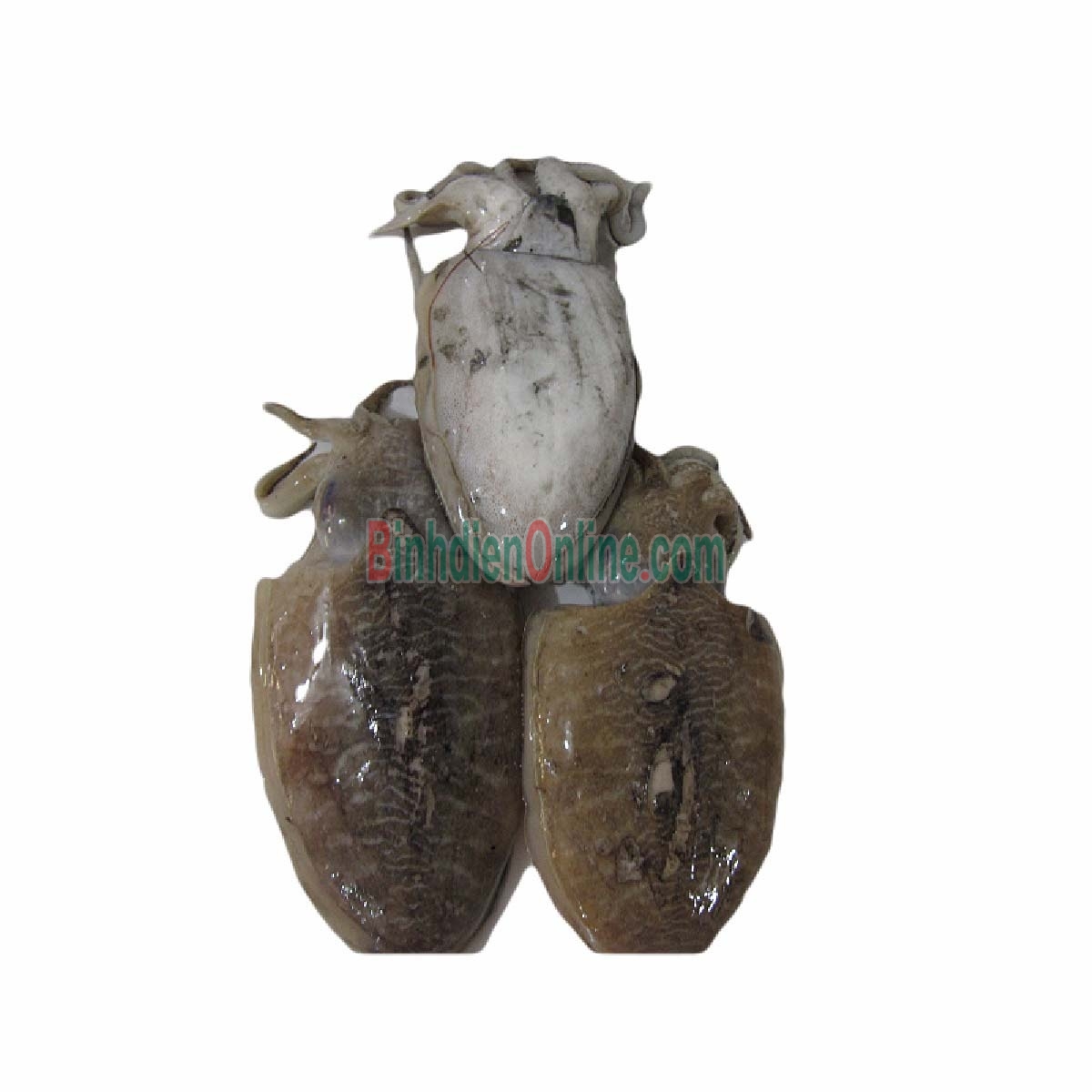 Mực nang đông lạnh chưa lột da loại 1 8-10 con/kg Xuất xứ Vũng Tàu