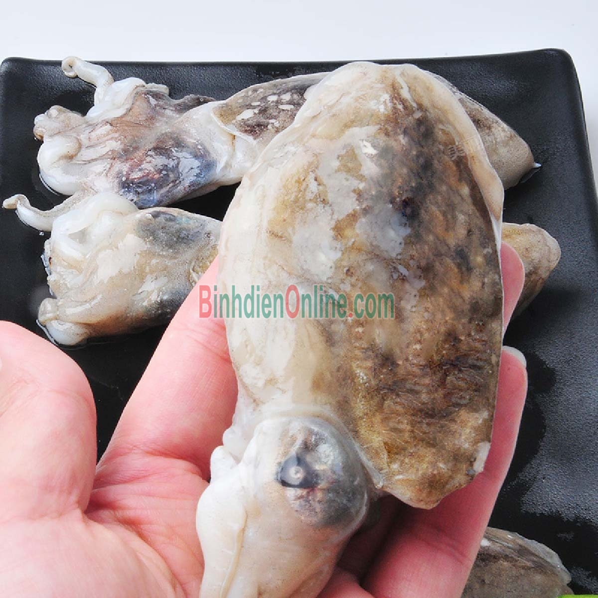 Mực nang đông lạnh còn da đặc biệt 6-7 con/kg Xuất xứ Bình Thuận