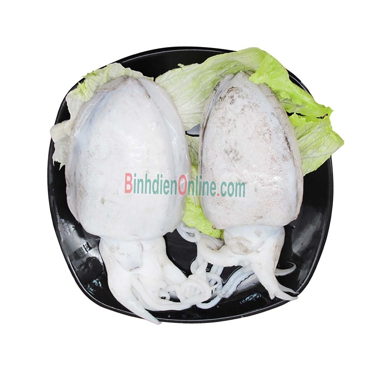 Mực nang tươi rói, giá tốt hôm nay 2-3 con/kg Xuất xứ Bình Thuận