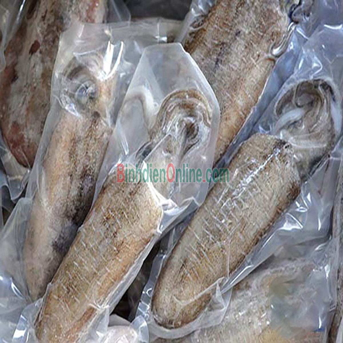Mực lá câu tươi ngon giá tốt 3-4 con/kg Xuất xứ Vũng Tàu