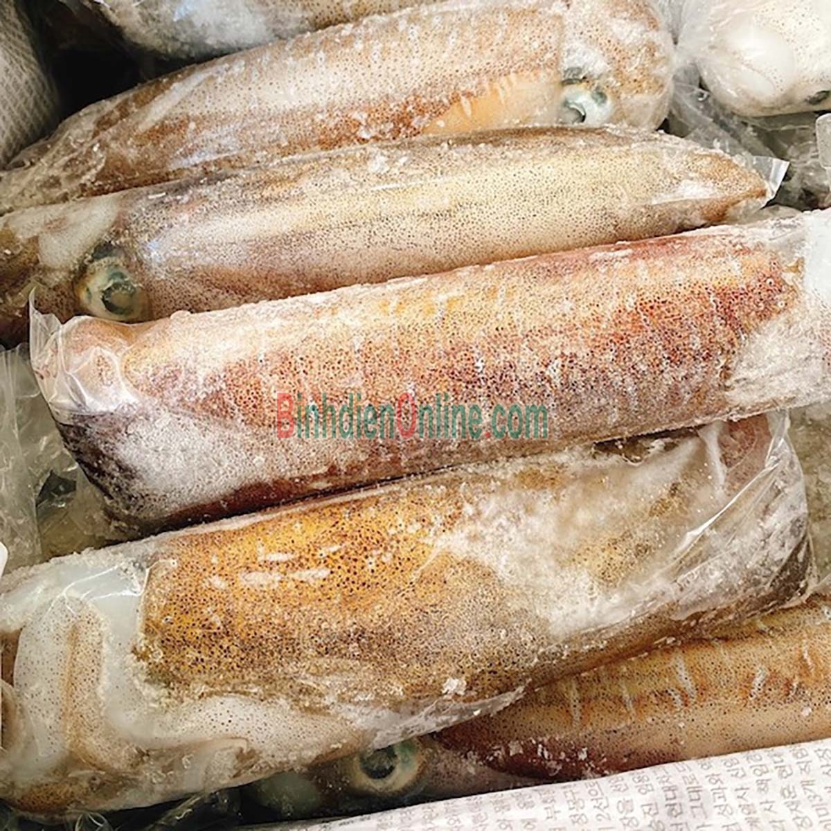 Mực lá câu đông lạnh giá tốt 400-600 gr/con Xuất xứ Cà Mau
