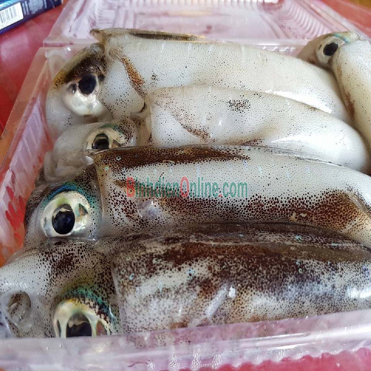 Mực lá đông lạnh loại 1 giá tốt 3-4 con/kg Xuất xứ Cà Mau