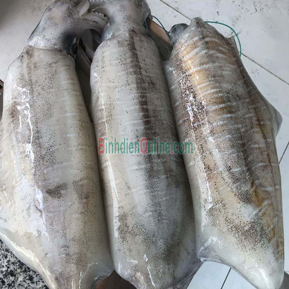 Mực lá tươi sống loại 1 1-1,2 kg/con Xuất xứ Bình Thuận