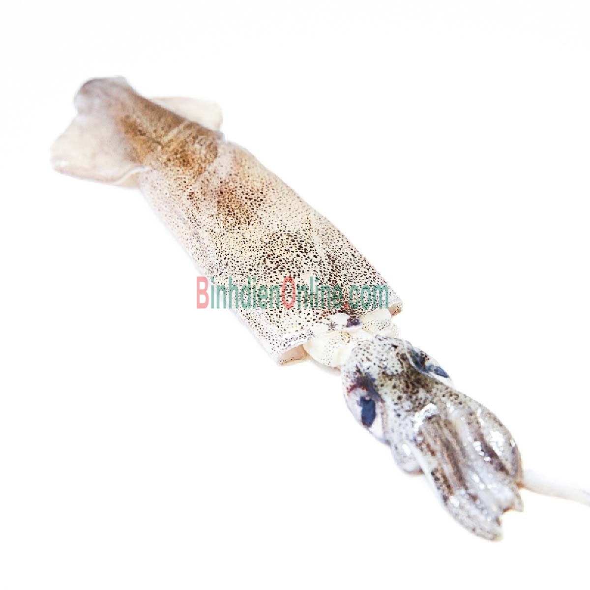 Mực ống đông lạnh loại 1 chất lượng 9-12 con/kg Xuất xứ Kiên Giang