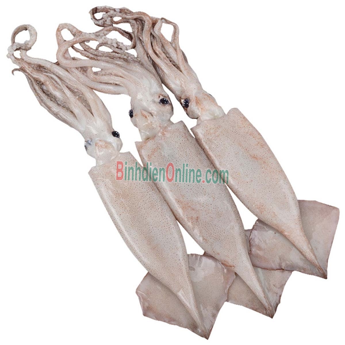 Mực ống đông lạnh ngon đặc biệt 6-8 con/kg Xuất xứ Bình Thuận
