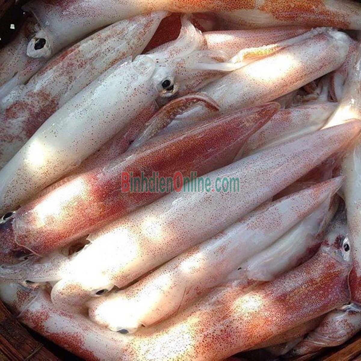 Mực ống câu đông lạnh loại 1 5-6 con/kg Xuất xứ Khánh Hòa