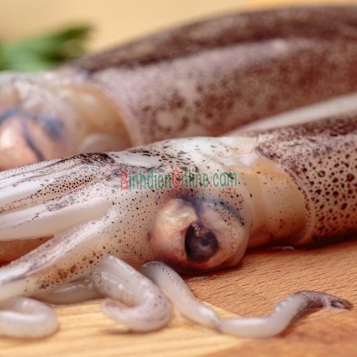 Mực ống tươi ngon giá tốt 9-12 con/kg Xuất xứ Khánh Hòa