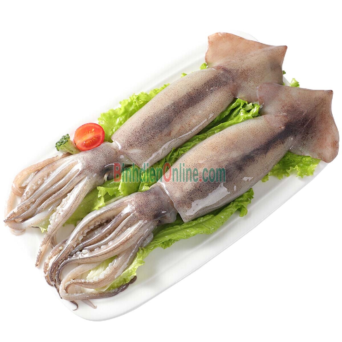 Mực ống tươi mới từ thiên nhiên 5-6 con/kg Xuất xứ Vũng Tàu