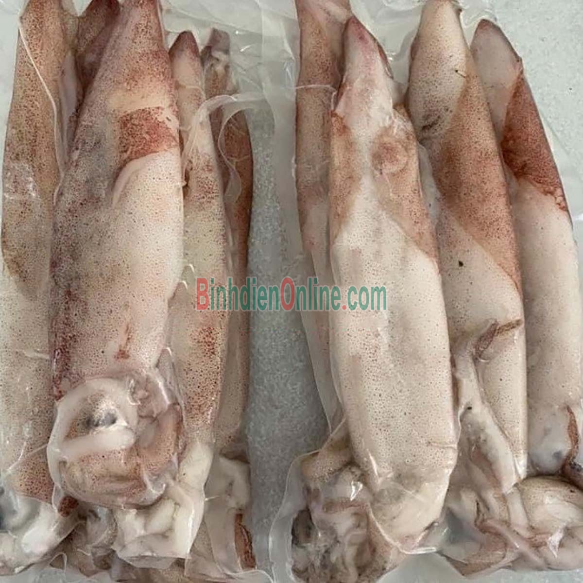 Mực ống đông lạnh ngon đặc biệt 5-6 con/kg Xuất xứ Cà Mau