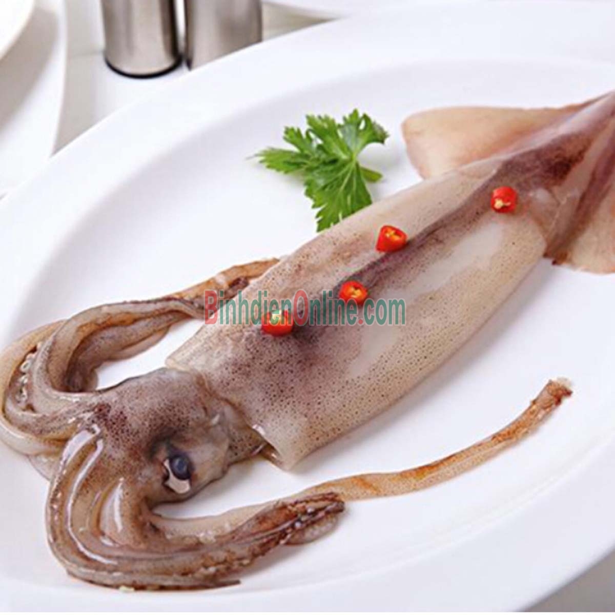 Mực ống câu tươi sống giá tốt 5-6 con/kg Xuất xứ Vũng Tàu
