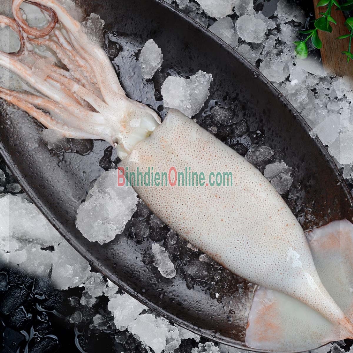 Mực ống câu tươi ngon đặc biệt 9-12 con/kg Xuất xứ Kiên Giang