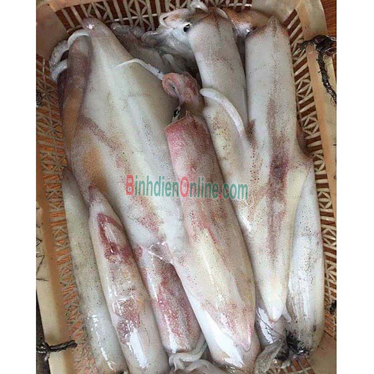 Mực ống câu tươi ngon đặc biệt 3-4 con/kg Xuất xứ Khánh Hòa