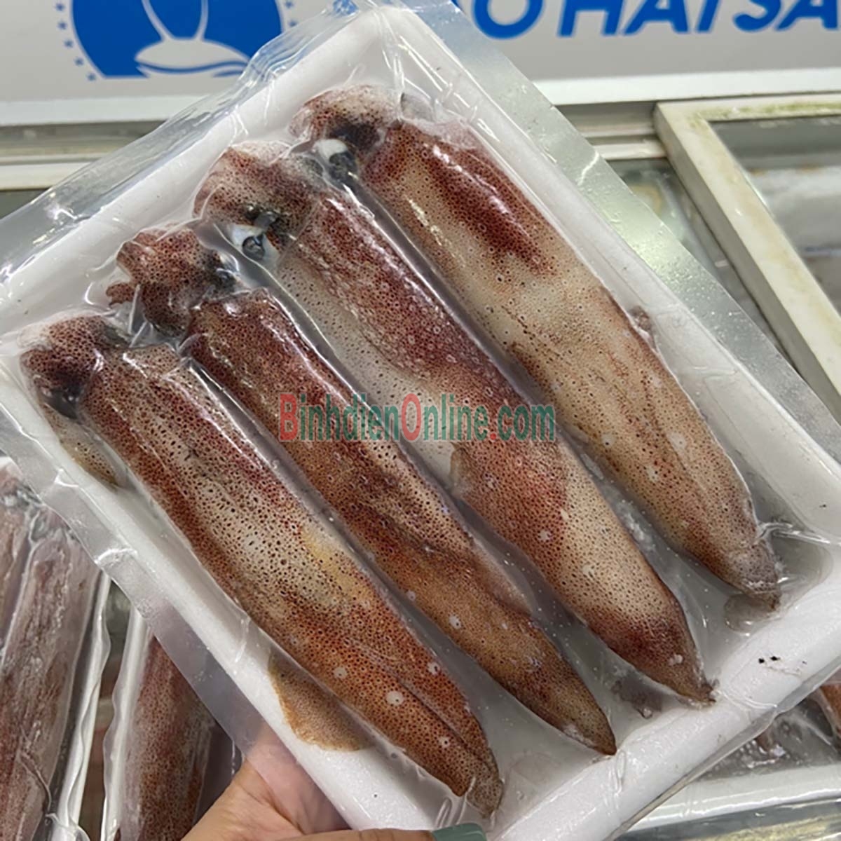 Mực ống tươi mới từ thiên nhiên 5-6 con/kg Xuất xứ Kiên Giang