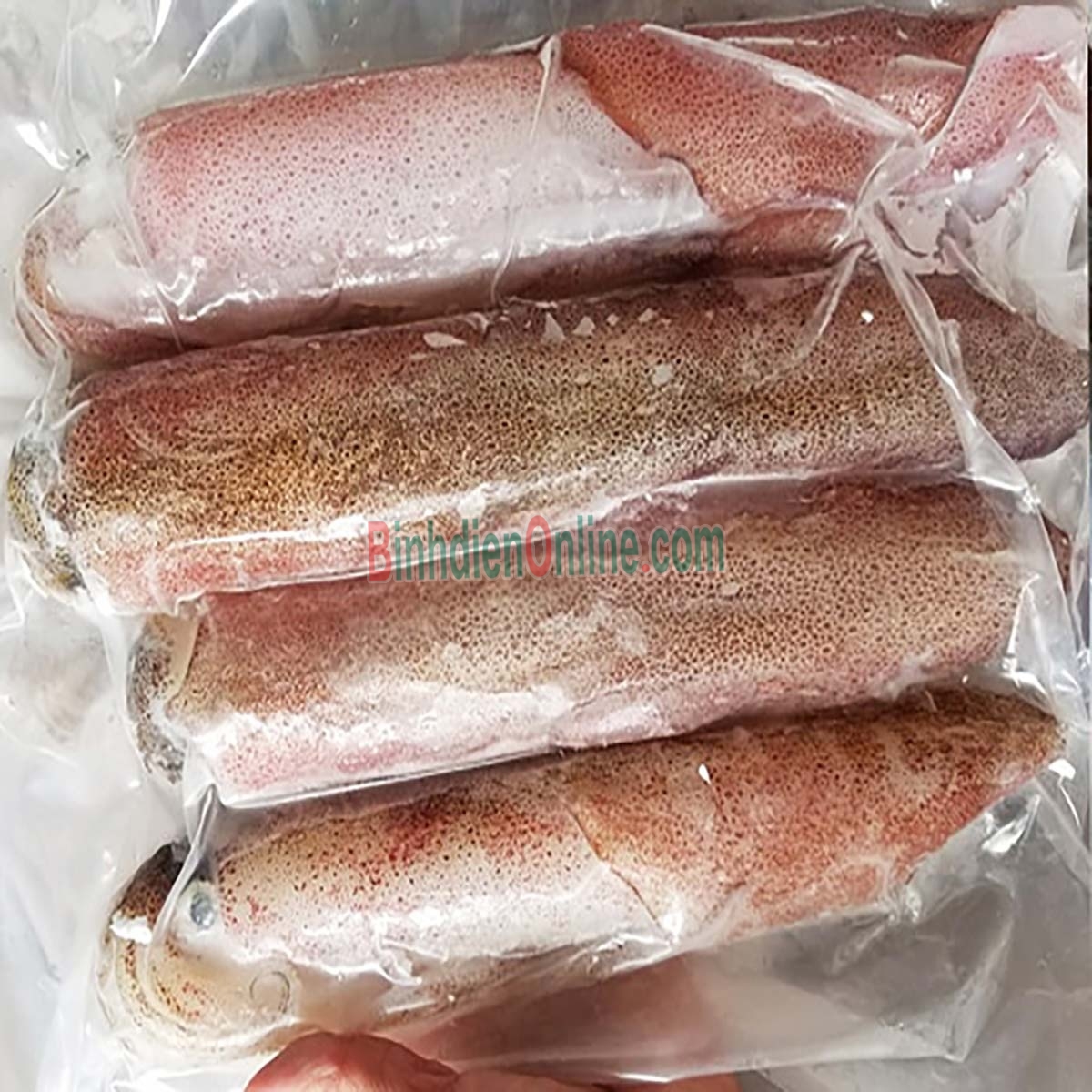 Mực ống câu tươi ngon đặc biệt 3-4 con/kg Xuất xứ Kiên Giang
