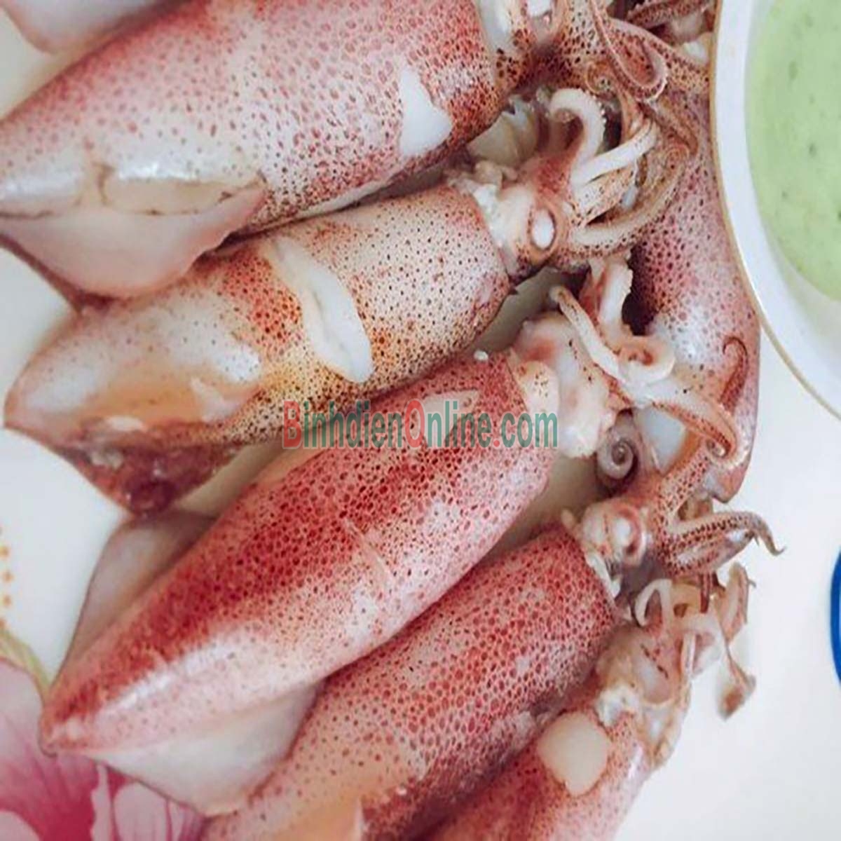 Mực ống tươi ngon giá tốt 3-4 con/kg Xuất xứ Khánh Hòa