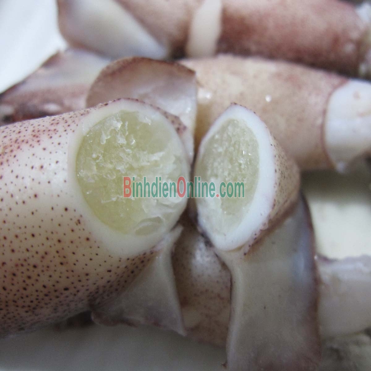 Mực trứng tươi sống ngon chất lượng 20-30 con/kg Xuất xứ Khánh Hòa