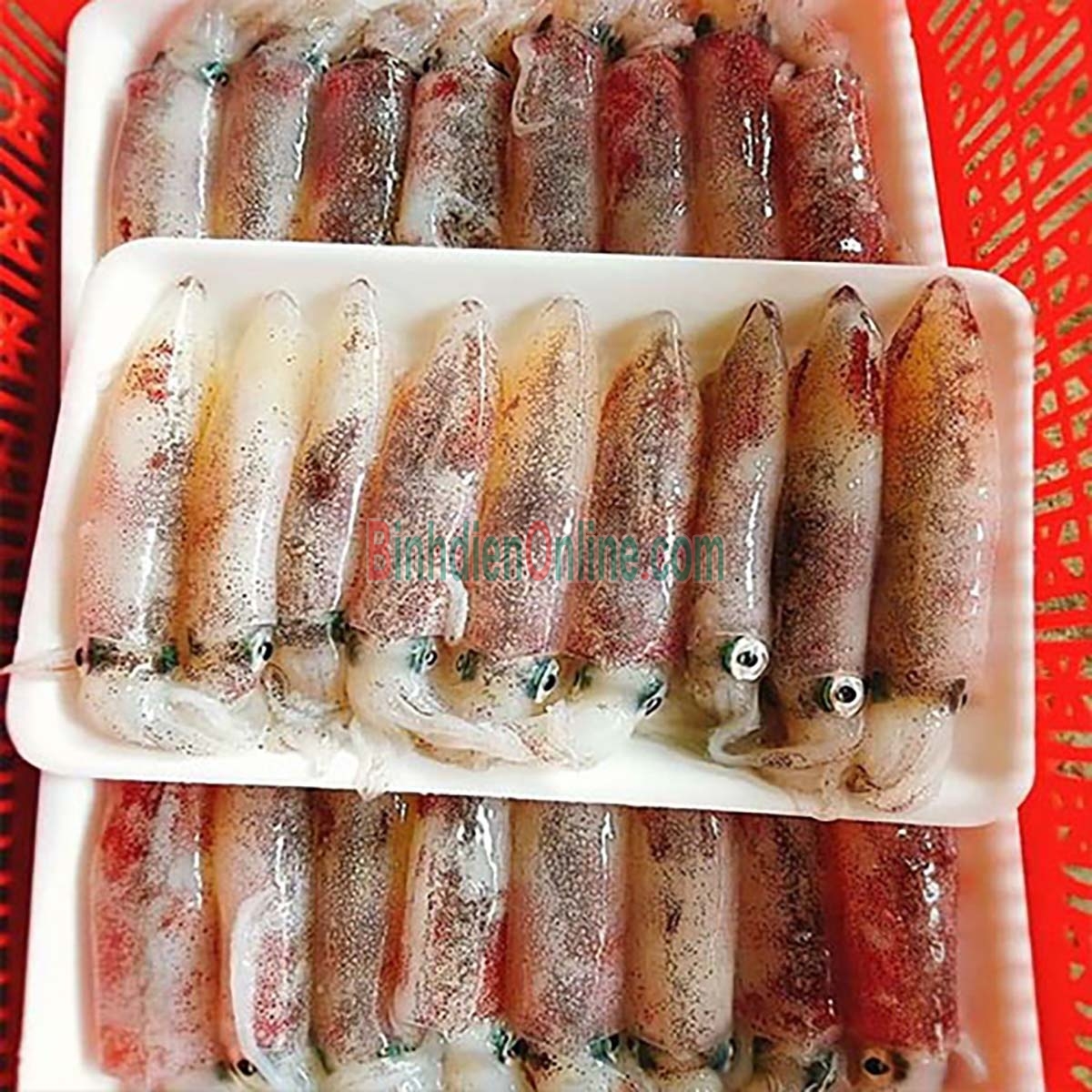 Mực trứng đông lạnh từ thiên nhiên 20-30 con/kg Xuất xứ Khánh Hòa