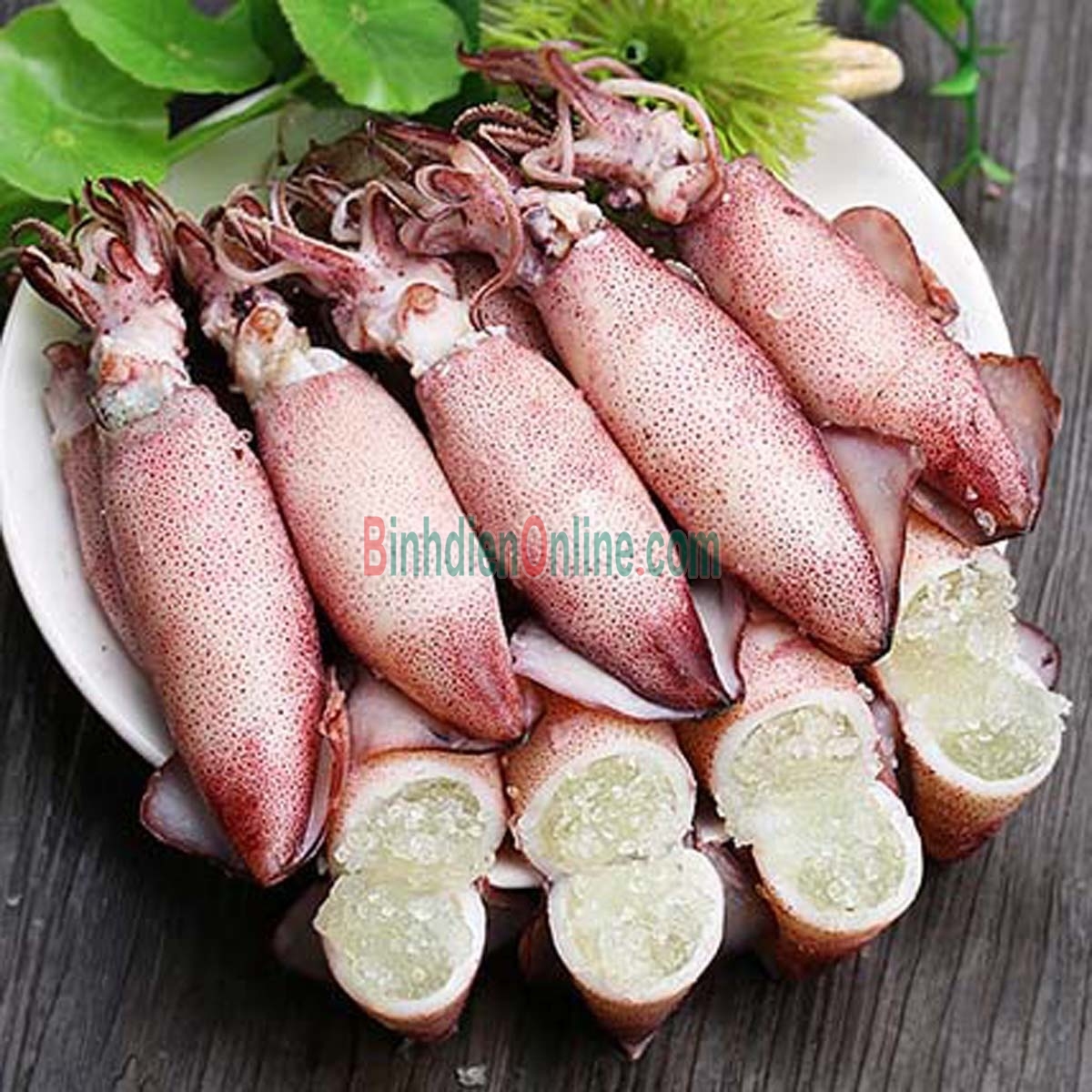 Mực trứng câu tươi sống giá tốt 20-30 con/kg Xuất xứ Khánh Hòa