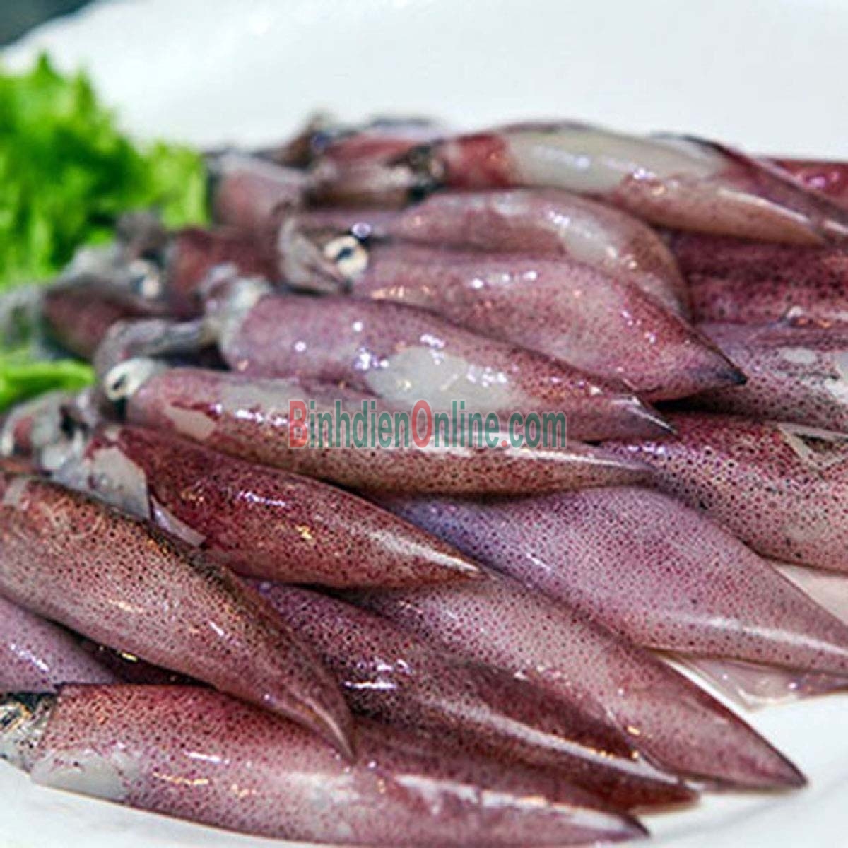 Mực trứng câu tươi sống giá tốt 30-40 con/kg Xuất xứ Cà Mau