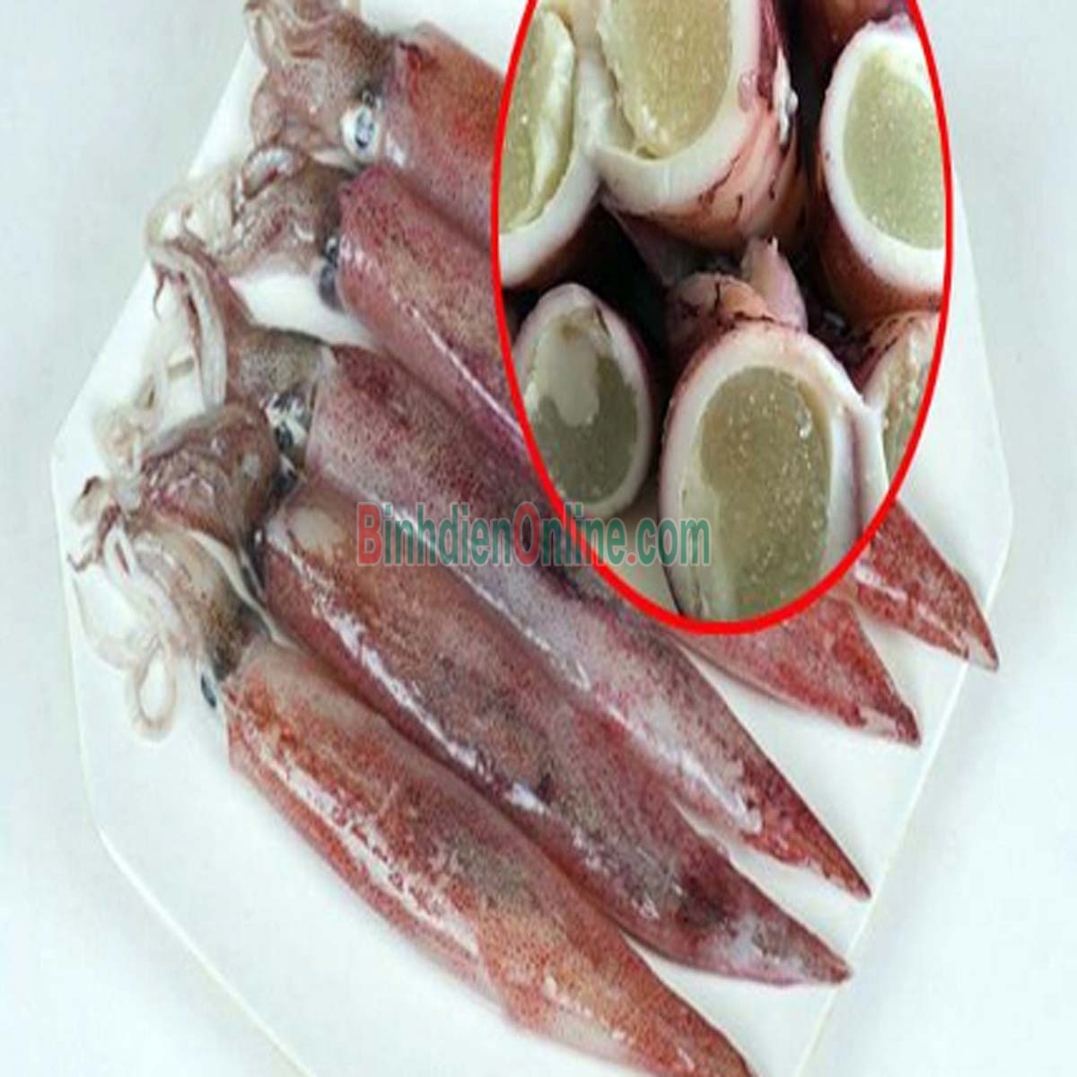 Mực trứng tươi sống ngon chất lượng 8-10 con/kg Xuất xứ Khánh Hòa